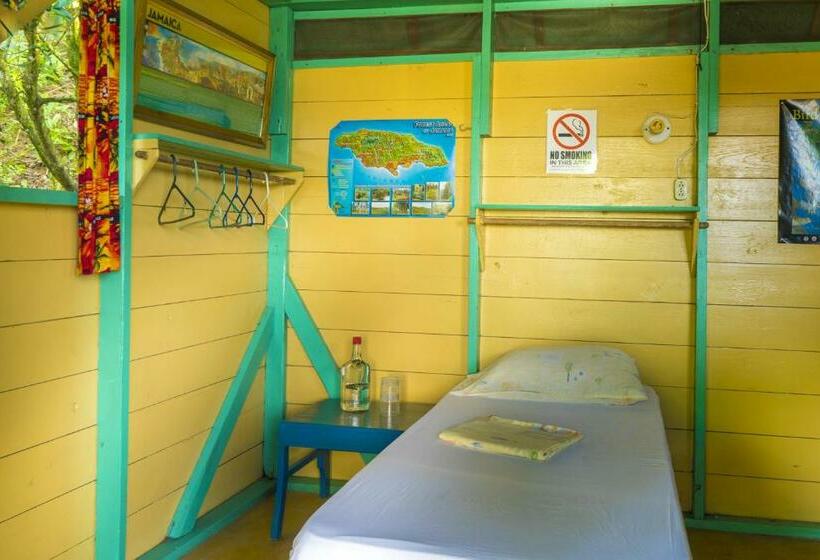 اتاق استاندارد یک تخته با سرویس بهداشتی مشترک, Zion Country