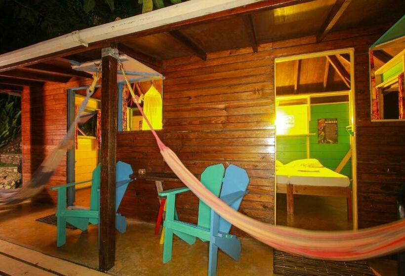 اتاق استاندارد یک تخته با سرویس بهداشتی مشترک, Zion Country