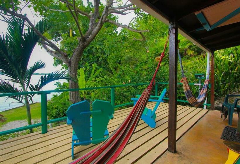 اتاق استاندارد با سرویس بهداشتی مشترک, Zion Country