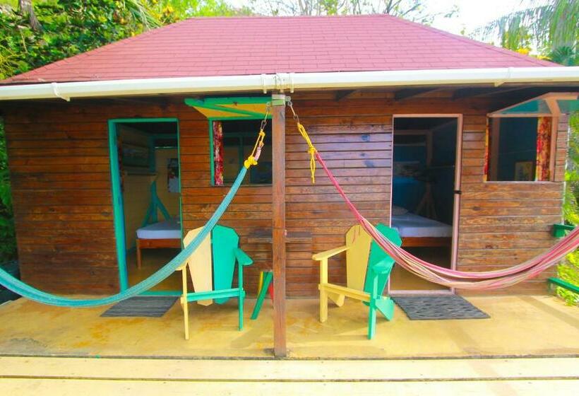 اتاق استاندارد با سرویس بهداشتی مشترک, Zion Country