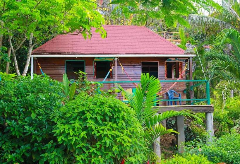 اتاق استاندارد یک تخته با سرویس بهداشتی مشترک, Zion Country