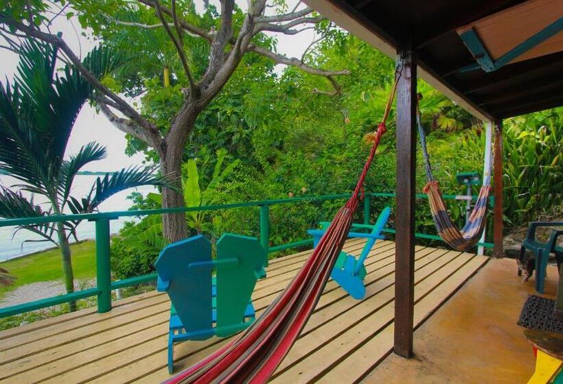 اتاق استاندارد یک تخته با سرویس بهداشتی مشترک, Zion Country