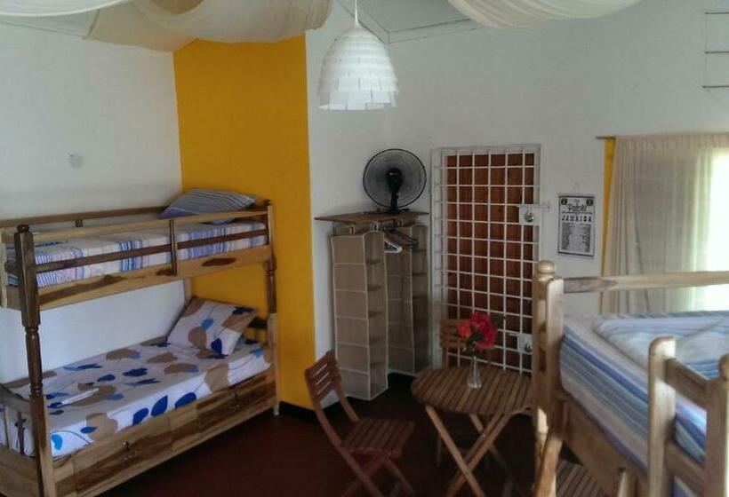 تختخواب در اتاق مشترک, Germaican Hostel