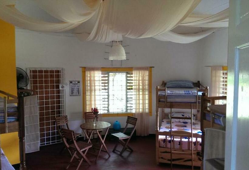 تختخواب در اتاق مشترک, Germaican Hostel
