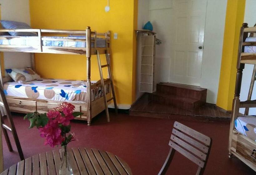 تختخواب در اتاق مشترک, Germaican Hostel