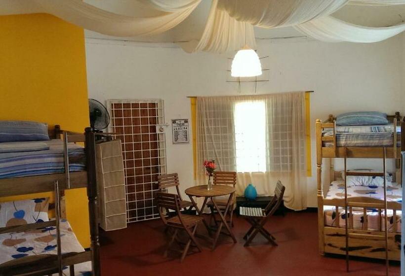 تختخواب در اتاق مشترک, Germaican Hostel