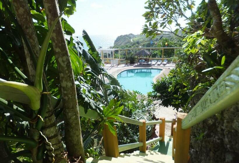 اتاق سوپریور با تخت بزرگ, Pimento Lodge Resort