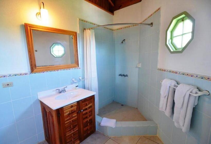 اتاق سوپریور با تخت بزرگ, Pimento Lodge Resort