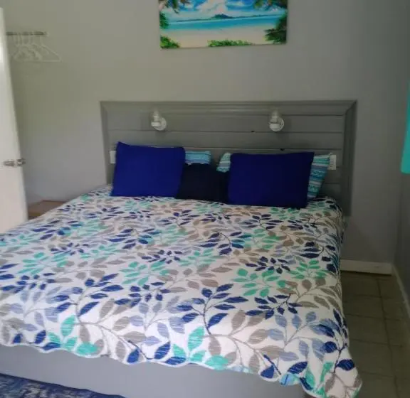 اتاق استاندارد با تخت بزرگ, Surfers Manor