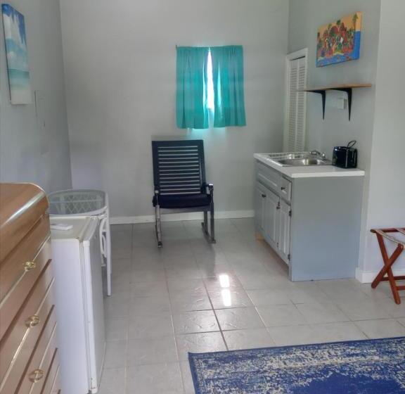 اتاق استاندارد با تخت بزرگ, Surfers Manor