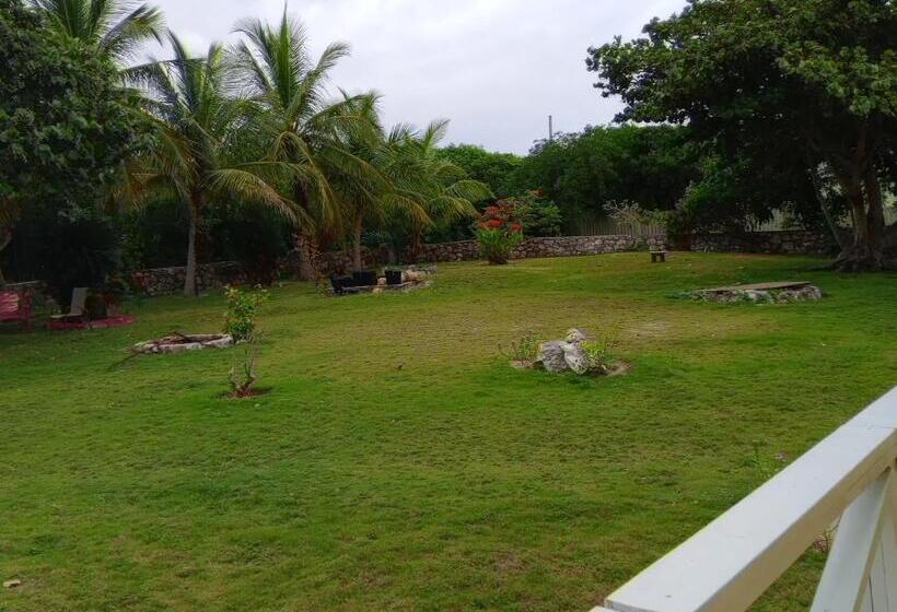 اتاق استاندارد با تخت بزرگ, Surfers Manor