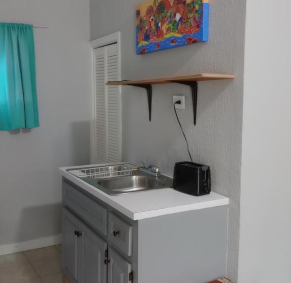 اتاق استاندارد با تخت بزرگ, Surfers Manor