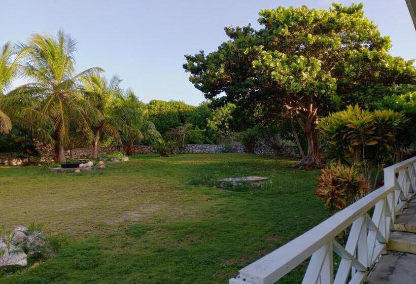 اتاق لوکس, Surfers Manor