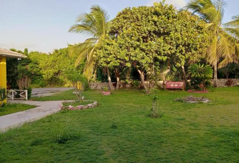 اتاق استاندارد با چشم‌انداز باغ, Surfers Manor