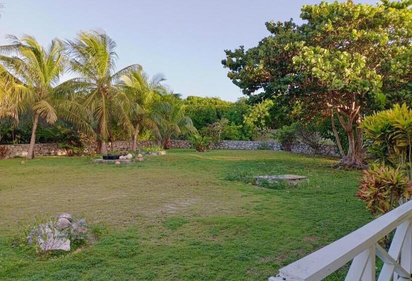 اتاق استاندارد با چشم‌انداز باغ, Surfers Manor