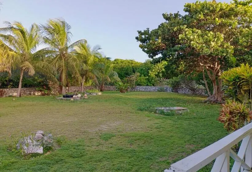 اتاق استاندارد با چشم‌انداز باغ, Surfers Manor