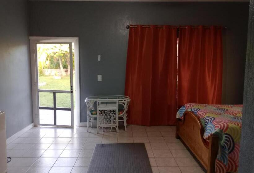 اتاق استاندارد با چشم‌انداز باغ, Surfers Manor