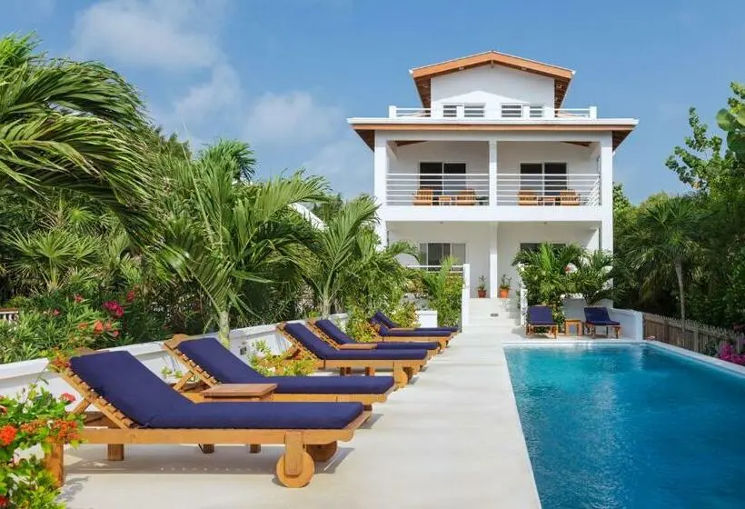 سوییت با چشمانداز دریا, Weezie S Ocean Front Hotel And Garden Cottages