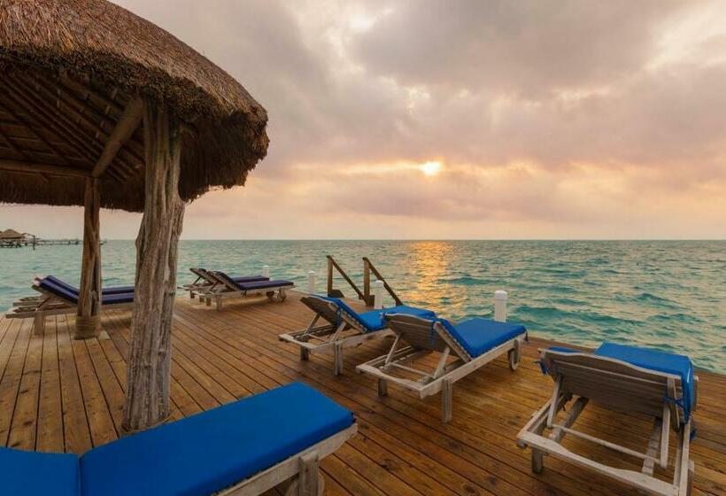 סוויטה נוף לים, Weezie S Ocean Front Hotel And Garden Cottages