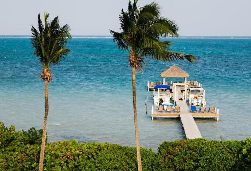 סטודיו בסיסי, Weezie S Ocean Front Hotel And Garden Cottages