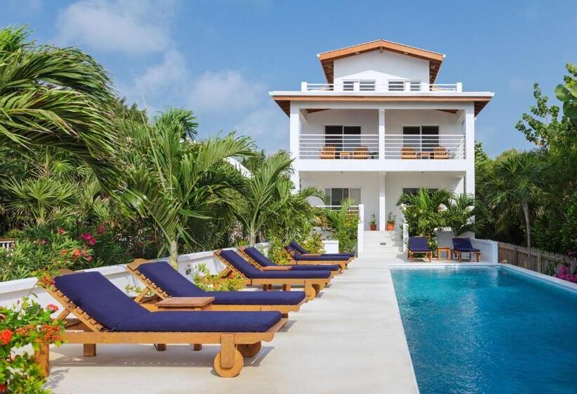 베이직 스튜디오, Weezie S Ocean Front Hotel And Garden Cottages