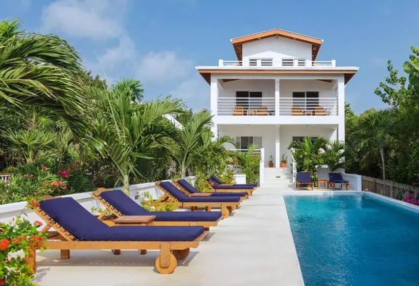 استودیو ساده, Weezie S Ocean Front Hotel And Garden Cottages