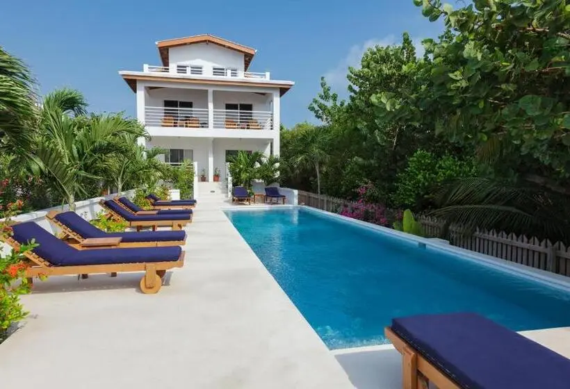 استودیوی استاندارد, Weezie S Ocean Front Hotel And Garden Cottages