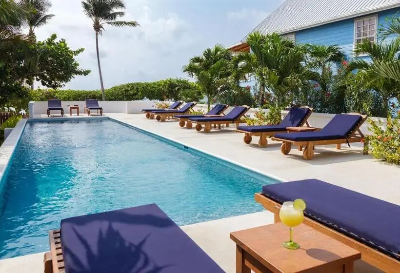 استودیوی استاندارد, Weezie S Ocean Front Hotel And Garden Cottages