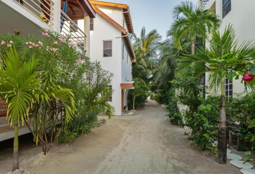 חדר סטודיו סטנדרד, Weezie S Ocean Front Hotel And Garden Cottages