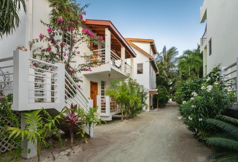 חדר סטודיו סטנדרד, Weezie S Ocean Front Hotel And Garden Cottages