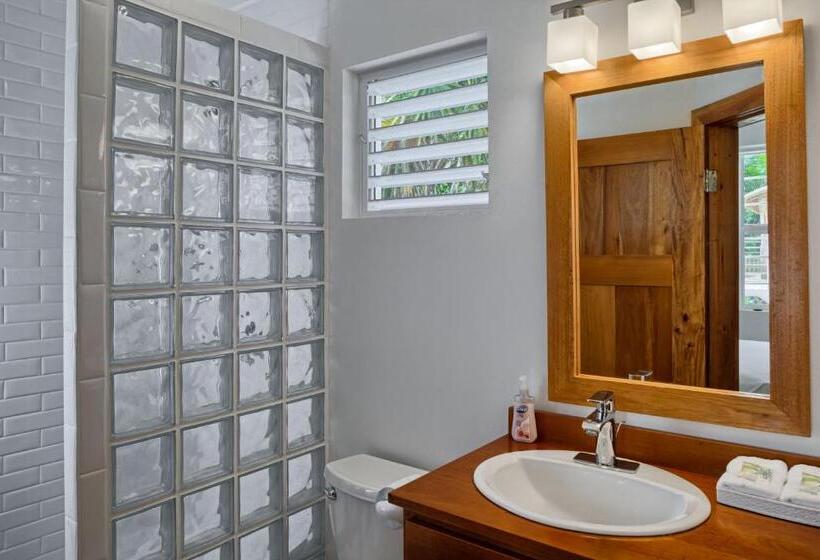 חדר סטודיו סטנדרד, Weezie S Ocean Front Hotel And Garden Cottages