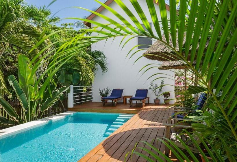 חדר סטודיו סטנדרד, Weezie S Ocean Front Hotel And Garden Cottages