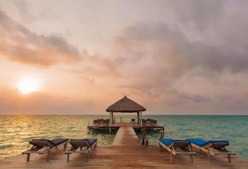 سوئیت با تخت بزرگ, Weezie S Ocean Front Hotel And Garden Cottages