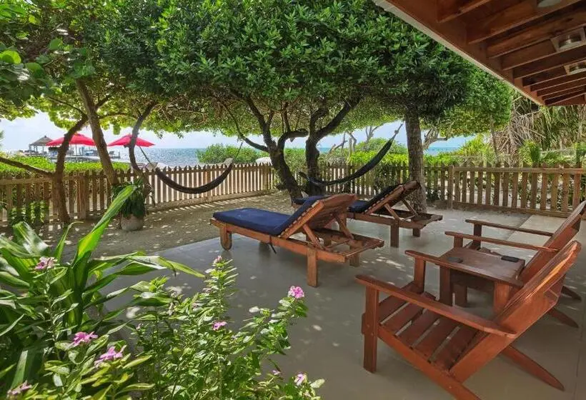 سوئیت با تخت بزرگ, Weezie S Ocean Front Hotel And Garden Cottages