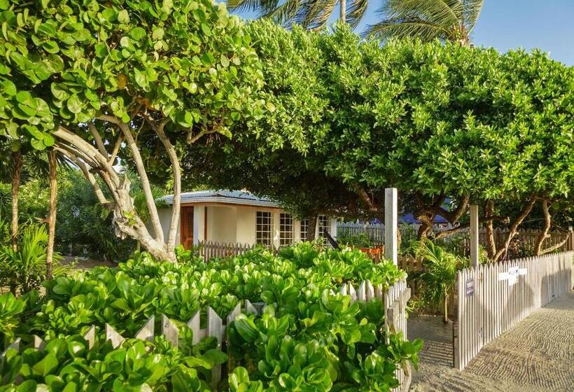 Люкс Кровать Кинг, Weezie S Ocean Front Hotel And Garden Cottages