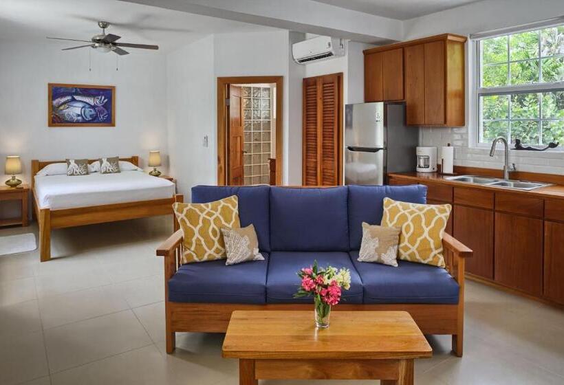 חדר סטודיו סטנדרד, Weezie S Ocean Front Hotel And Garden Cottages