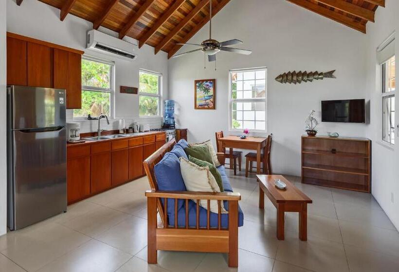 חדר סטודיו סטנדרד, Weezie S Ocean Front Hotel And Garden Cottages