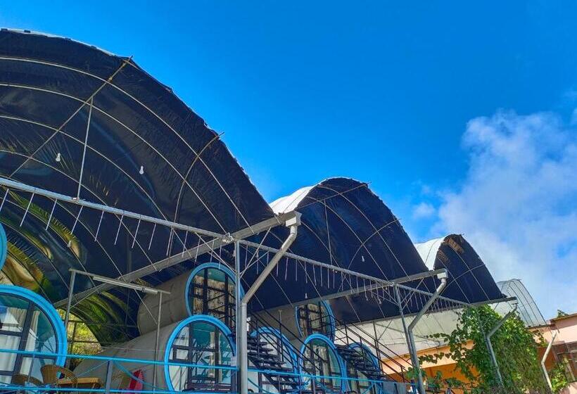 Номер Deluxe, Cameron Highlands Blueberry Earth House