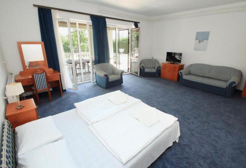 带1个卧室的带阳台的公寓, Aquilo Hotel Panoráma