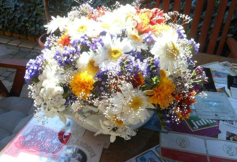 스탠다드 룸, Fónagy és Walter Vendég  és Borház