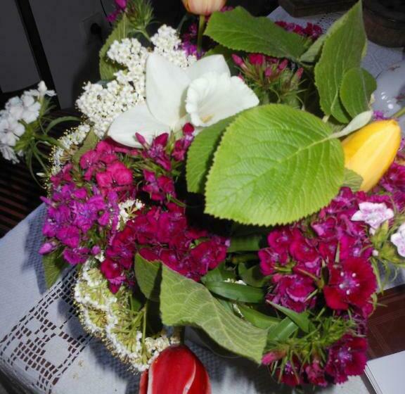 스탠다드 룸, Fónagy és Walter Vendég  és Borház