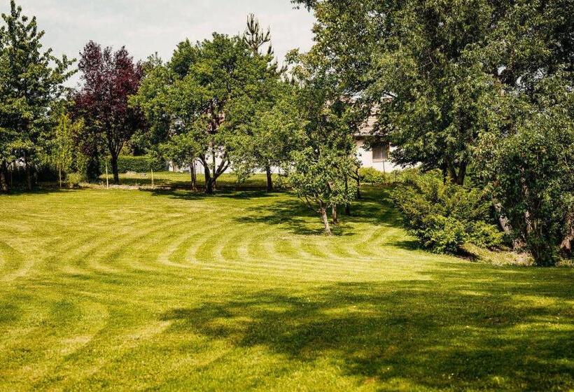 Номер Стандарт Вид на Сад, Kakukk Vendéglő Panzió