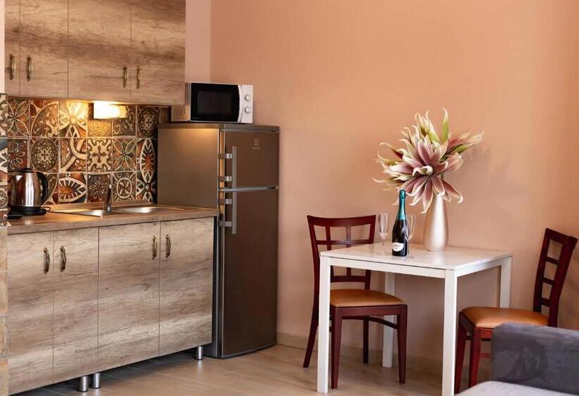 标准工作室, Maya Panzio Rezidencia