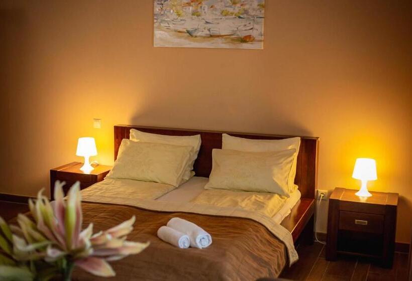 小型套房, Maya Panzio Rezidencia