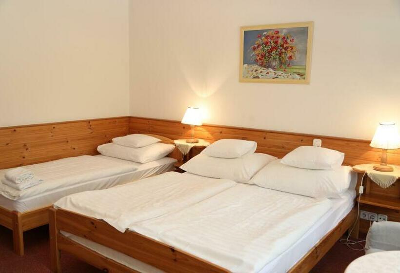 标准三人间, Hajdú Kastély