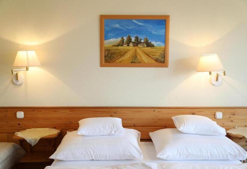 高级大房间, Hajdú Kastély