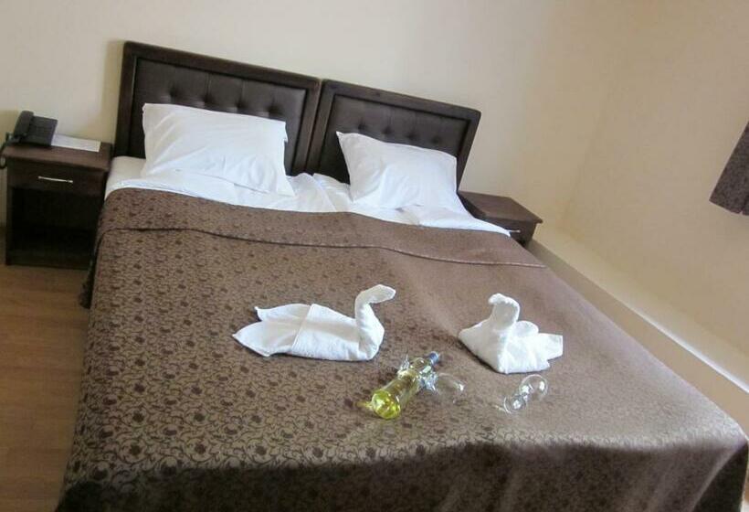 标准间带阳台, Terazini