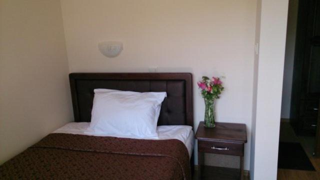 标准单人间, Terazini