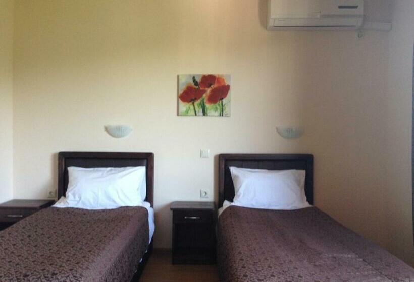 标准间带阳台, Terazini