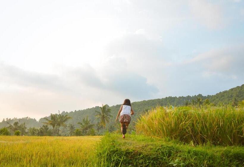 스탠다드 룸 산 전망, Lesong Hotel And Restaurant